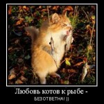 мотиватор рыжий кот любит рыбу
